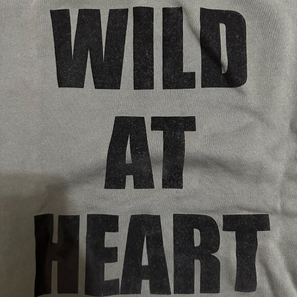 Wildfox Wild Heart Cody Sweatshirt in Washed Black - Picture 6 of 8
